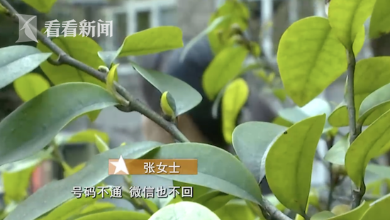 女子婚恋网站交友投资被骗68万：他说稳赚不赔的