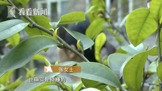 女子婚恋网站交友投资被骗68万：他说稳赚不赔的